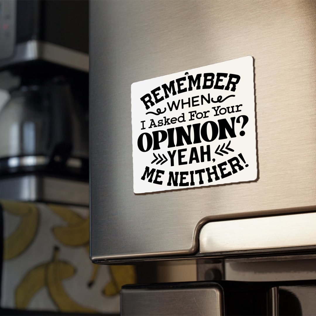 Magnets Remember When I Asked For Your Opinion Yeah, Me Neither!