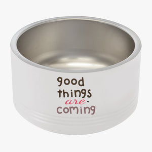 Pet Bowl Good Things Are Coming