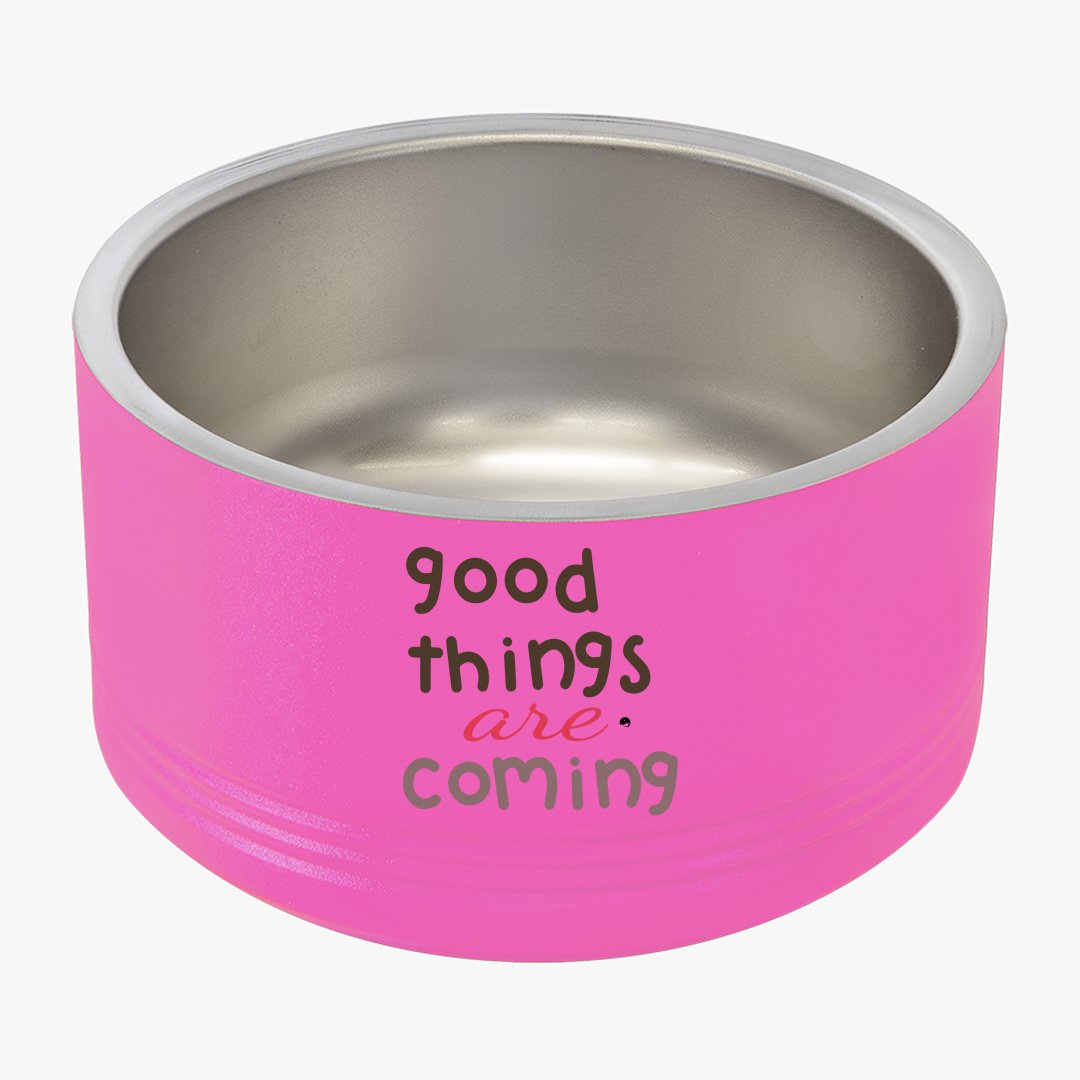 Pet Bowl Good Things Are Coming