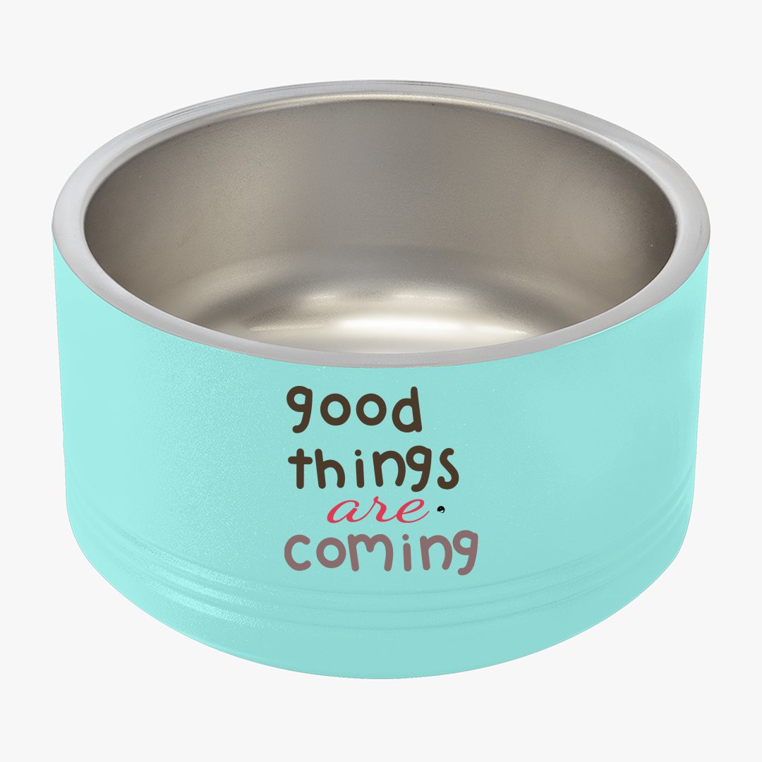 Pet Bowl Good Things Are Coming